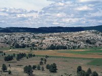 E, Teruel, Villaroya de los Pinares 4, Saxifraga-Jan van der Straaten