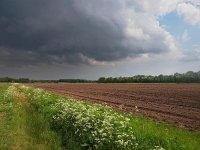 dramatic field  A dark dramatic sky above agricultural field : Cow Parsley, Drenthe, Fluitenkruid, Netherlands, Tynaarlo, agrarisch, agrarische, agricultural, agriculture, akker, akkerbouw, atmosphere, blue, brown, cloud, clouds, country, countryside, creative nature, ditch, dramatic, dreigend, dreigende, dutch, economy, environment, farm, farming, farmland, field, grass, green, greppel, groen, holland, landbouw, landscape, landschap, menacing, mood, nederland, rudmer zwerver, rural, scene, scenery, sky, sloot, spring, springtime, summer, threat, threatening, white, wolk, wolken, zomer