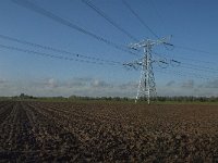 NL, Noord-Brabant, Altena, Middelste Kievitswaard 2, Saxifraga-Jan van der Straaten