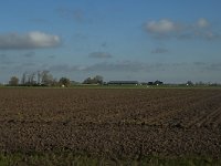 NL, Noord-Brabant, Altena, Middelste Kievitswaard 8, Saxifraga-Marijke Verhagen