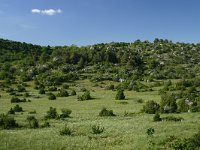 F, Aveyron, La Couvertoirade 1, Saxifraga-Dirk Hilbers