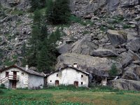 I, Valle d'Aosta, Rhemes-Notre Dame, Alp de Nivolet1, Saxifraga-Jan van der Straaten