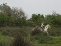 F, Bouches-du-Rhone, Arles, Domaine de la Pallisade 25, Saxifraga-Willem van Kruijsbergen