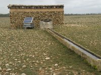 F, Bouches-du-Rhone, Saint Martin-de-Crau, Peau de Meau 14, Saxifraga-Willem van Kruijsbergen