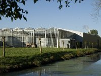 NL, Noord-Brabant, Waalwijk, Binnenpolder van Capelle 1, Saxifraga-Jan van der Straaten