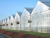 NL, Noord-Brabant, Zevenbergen, Hazeldonk 1, Saxifraga-Jan van der Straaten