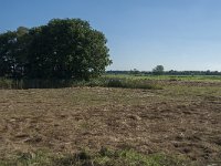 NL, Noord-Brabant, Goirle, Poppelsche Leij 6, Saxifraga-Willem van Kruijsbergen