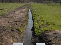 NL, Noord-Brabant, Valkenswaard, Pelterheggen 41, Saxifraga-Marijke Verhagen