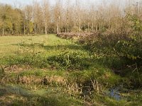 NL, Noord-Brabant, Valkenswaard, Pelterheggen 8, Saxifraga-Jan van der Straaten