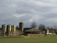 B, Limburg, Overpelt, De Riet 3, Saxifraga-Jan van der Straaten