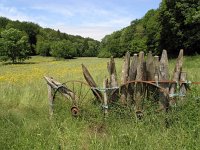 F, Haute-Marne, Aprey, Gorges de Vingeann 3, Saxifraga-Hans Dekker