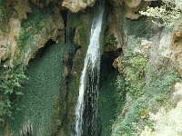 E, Teruel, Camarena de la Sierra, Rio Amanaderos 2, Saxifraga-Jan van der Straaten