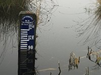 NL, Limburg, Horst aan de Maas, Mariapeel 10, Saxifraga-Jan van der Straaten