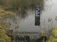 NL, Limburg, Horst aan de Maas, Mariapeel 9, Saxifraga-Marijke Verhagen