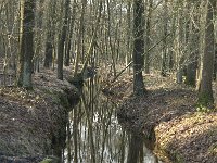 NL, Noord-Brabant, Bladel, Beerze, Westelbeersche Broek 3, Saxifraga-Jan van der Straaten