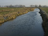 NL, Noord-Brabant, Oss, Strijbeemden, Hertogswetering 1, Saxifraga-Jan van der Straaten