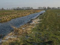 NL, Noord-Brabant, Oss, Strijbeemden, Hertogswetering 5, Saxifraga-Jan van der Straaten