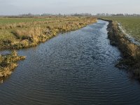 NL, Noord-Brabant, Oss, Strijbeemden, Hertogswetering 6, Saxifraga-Jan van der Straaten