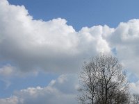 NL, Noord-Brabant, Valkenswaard, Pelterheggen 44, Saxifraga-Jan van der Straaten