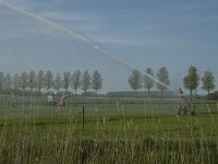 NL, Zuid-Holland, Dordrecht, Polder De Biesbosch 2, Saxifraga-Marijke Verhagen