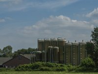 NL, Limburg, Meijel, Neerderweerterdijk 1, Saxifraga-Marijke Verhagen