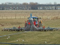 NL, Zuid-Holland, Strijen, Het Oudeland van Strijen 15, Saxifraga-Jan van der Straaten