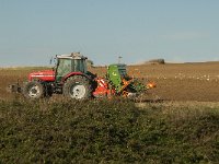 F, Pas-de-Calais, Audresselles 16, Saxifraga-Jan van der Straaten