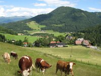 Traditional agriculture-Traditionele landbouw