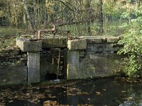 B, Limburg, Neerpelt, Saske 6, Saxifraga-Jan van der Straaten