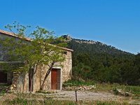 F, Aude, Gruissan, La Clappe 13, Saxifraga-Hans Dekker