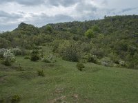 F, Aveyron, Lapanouse-de-Cernon 7, Saxifraga-Willem van Kruijsbergen