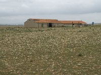 F, Bouches-du-Rhone, Saint Martin-de-Crau, Peau de Meau 12, Saxifraga-Willem van Kruijsbergen