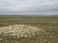 F, Bouches-du-Rhone, Saint Martin-de-Crau, Peau de Meau 23, Saxifraga-Willem van Kruijsbergen