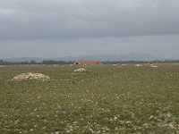 F, Bouches-du-Rhone, Saint Martin-de-Crau, Peau de Meau 25, Saxifraga-Willem van Kruijsbergen