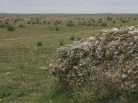 F, Bouches-du-Rhone, Saint Martin-de-Crau, Peau de Meau 5, Saxifraga-Willem van Kruijsbergen