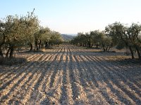 F, Bouches-du-Rhone, Saint Remy-de-Provence, Alpilles 8, Saxifraga-Dirk Hilbers