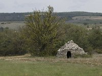 F, Drome, Ferrassieres 3, Saxifraga-Willem van Kruijsbergen