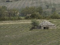 F, Drome, Ferrassieres 6, Saxifraga-Willem van Kruijsbergen