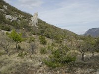 F, Drome, Montbrun les Bains 5, Saxifraga-Willem van Kruijsbergen