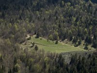 F, Drome, Treschenu-Creyers, Col de Menee 15, Saxifraga-Marijke Verhagen