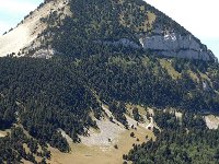 F, Drome, Treschenu-Creyers, Montagne de Bellemotte 1, Saxifraga-Jan van der Straaten