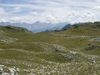 F, Drome, Treschenu-Creyers, Vallon de Combeau 53, Saxifraga-Willem van Kruijsbergen