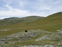 F, Drome, Treschenu-Creyers, Vallon de Combeau 54, Saxifraga-Willem van Kruijsbergen