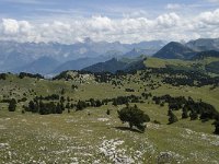 F, Drome, Treschenu-Creyers, Vallon de Combeau 78, Saxifraga-Willem van Kruijsbergen