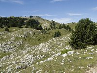 F, Drome, Treschenu-Creyers, Vallon de Combeau 79, Saxifraga-Willem van Kruijsbergen