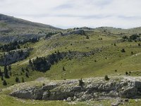 F, Drome, Treschenu-Creyers, Vallon de Combeau 88, Saxifraga-Willem van Kruijsbergen