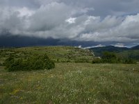 F, Lozere, Causse Mejean 13, Saxifraga-Dirk Hilbers