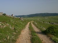 F, Lozere, Causse Mejean 6, Saxifraga-Dirk Hilbers