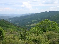 F, Lozere, Cevenol 1, Saxifraga-Dirk Hilbers