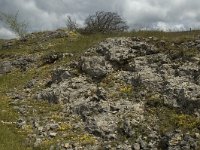 F, Lozere, Florac, Causse de Mejean 11, Saxifraga-Marijke Verhagen